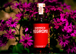 Dornoch Negroni bottle